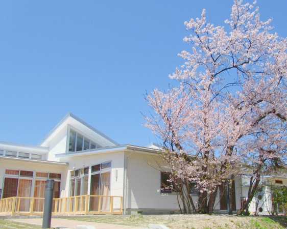 新潟市内の保育施設